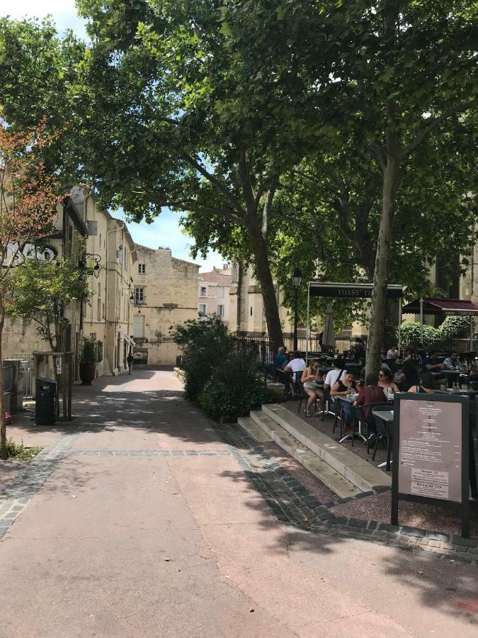 Superbe! Loft T3 -Ctre Historic- Prox. Place Comedie Montpellier Dış mekan fotoğraf