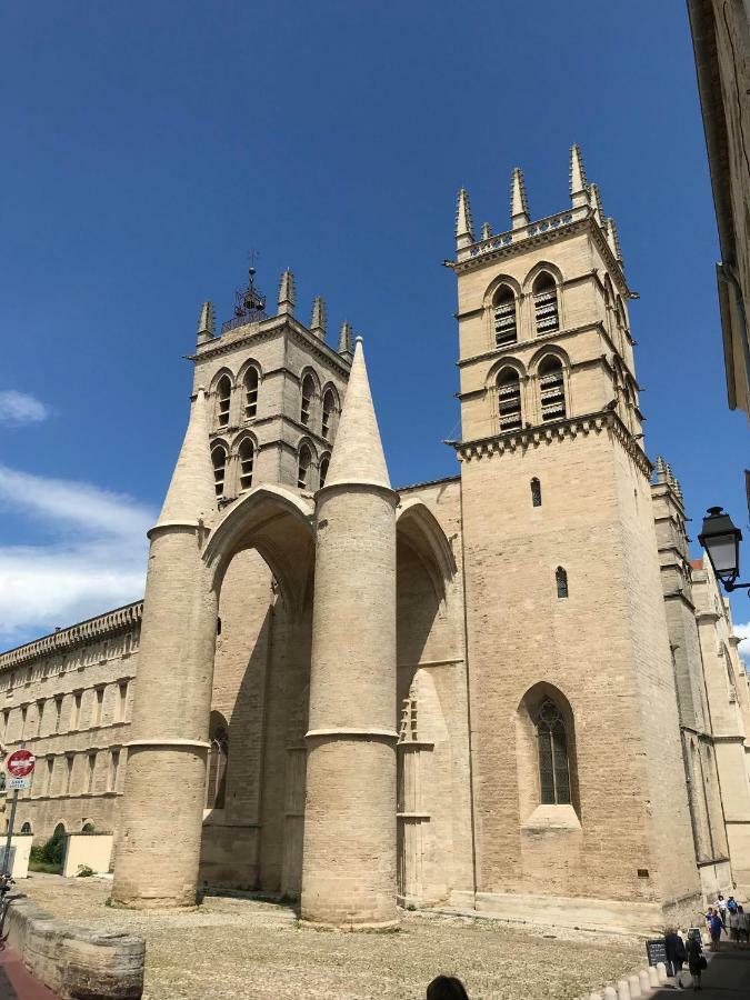 Superbe! Loft T3 -Ctre Historic- Prox. Place Comedie Montpellier Dış mekan fotoğraf
